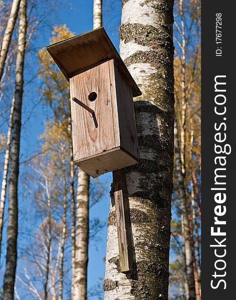 A wooden starling-house on a birch tree