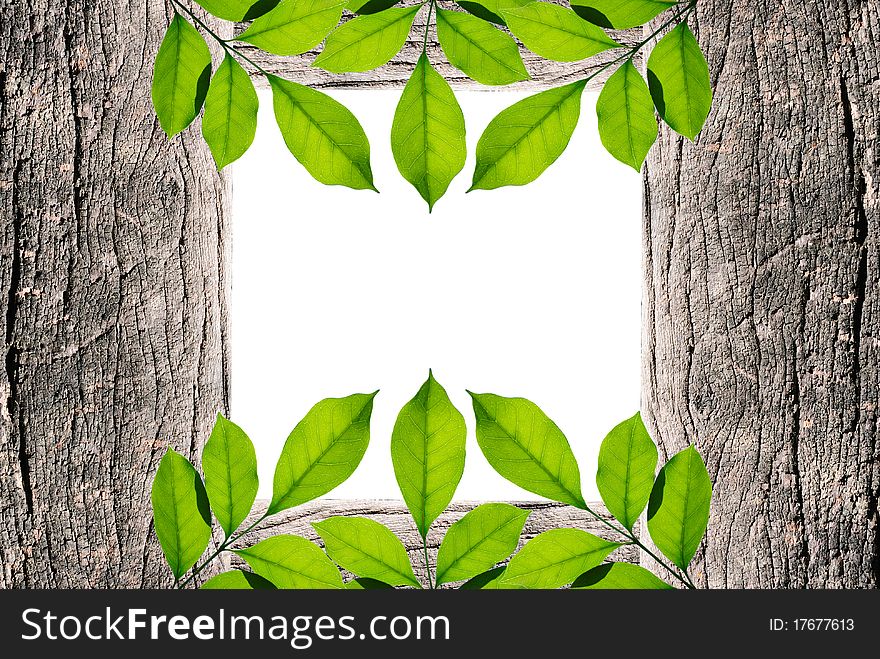 Handmade picture frame isolated on white background. made from driftwood and lief