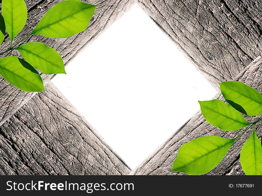 Handmade picture frame isolated on white background. made from driftwood and lief