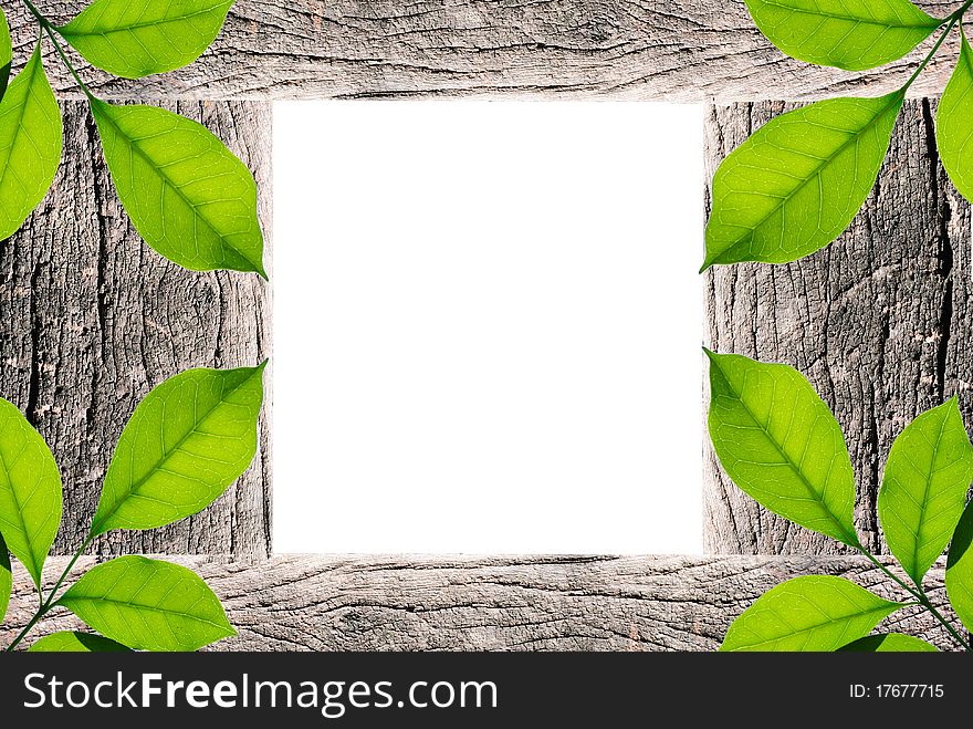 Handmade picture frame isolated on white background. made from driftwood and lief