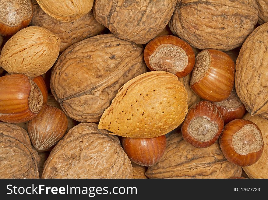 Selection of hazelnuts, walnuts and almonds. Selection of hazelnuts, walnuts and almonds