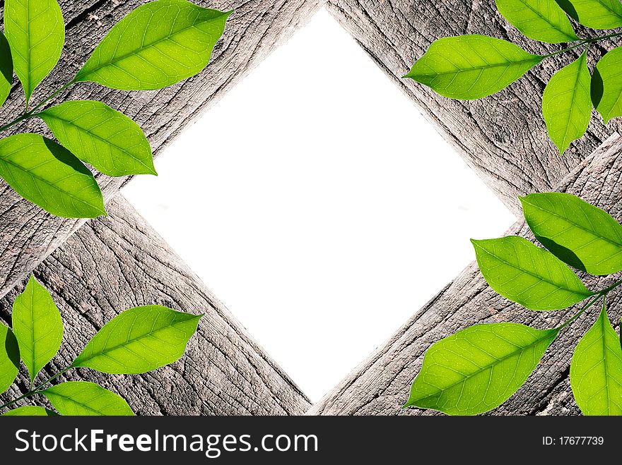 Handmade picture frame isolated on white background. made from driftwood and lief