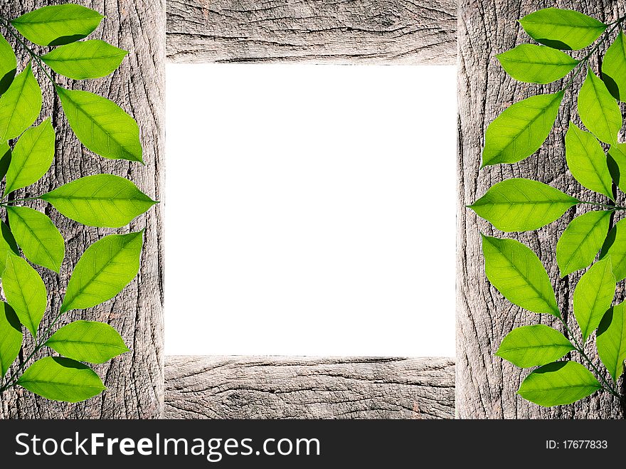 Handmade picture frame isolated on white background. made from driftwood and lief