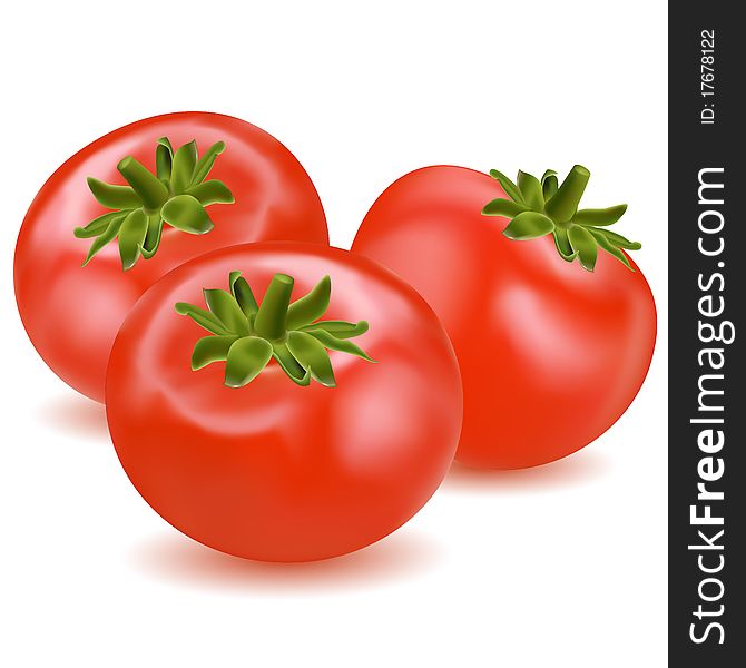 Illustration of tomatoes on white background