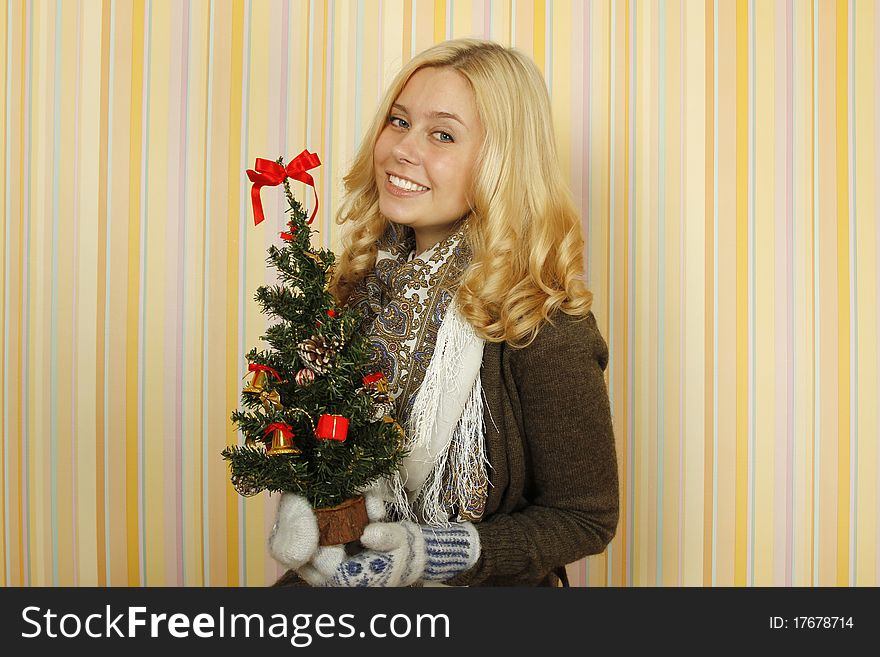Close-up of an beautiful young woman in mild winter mittens, scarves and knit sweaters. Happy and holding a small Christmas tree. Close-up of an beautiful young woman in mild winter mittens, scarves and knit sweaters. Happy and holding a small Christmas tree