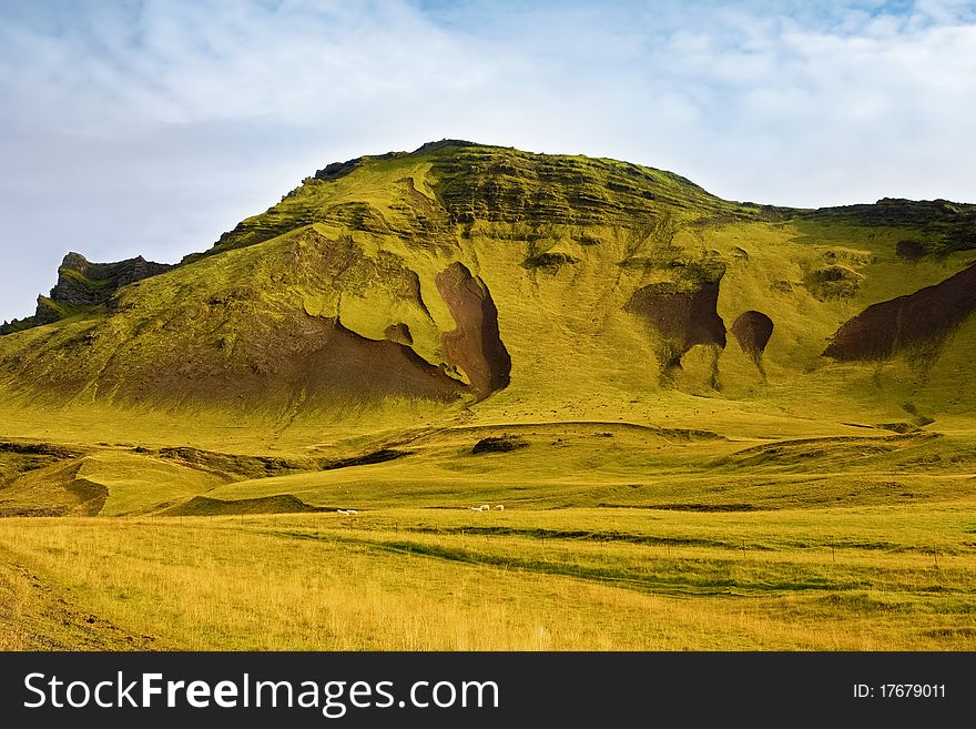 Icelandic Landscape