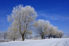 Hoard Frost Stock Images Hoard Frost Stock Images