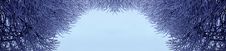 Ice Branches Frame Royalty Free Stock Photo Ice Branches Frame Royalty Free Stock Photo