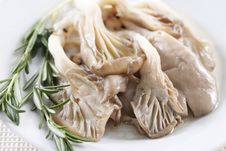 Fried Oyster Mushrooms Stock Photos Fried Oyster Mushrooms Stock Photos