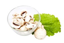 Mushrooms, Cut Into Chunks Royalty Free Stock Photo Mushrooms, Cut Into Chunks Royalty Free Stock Photo