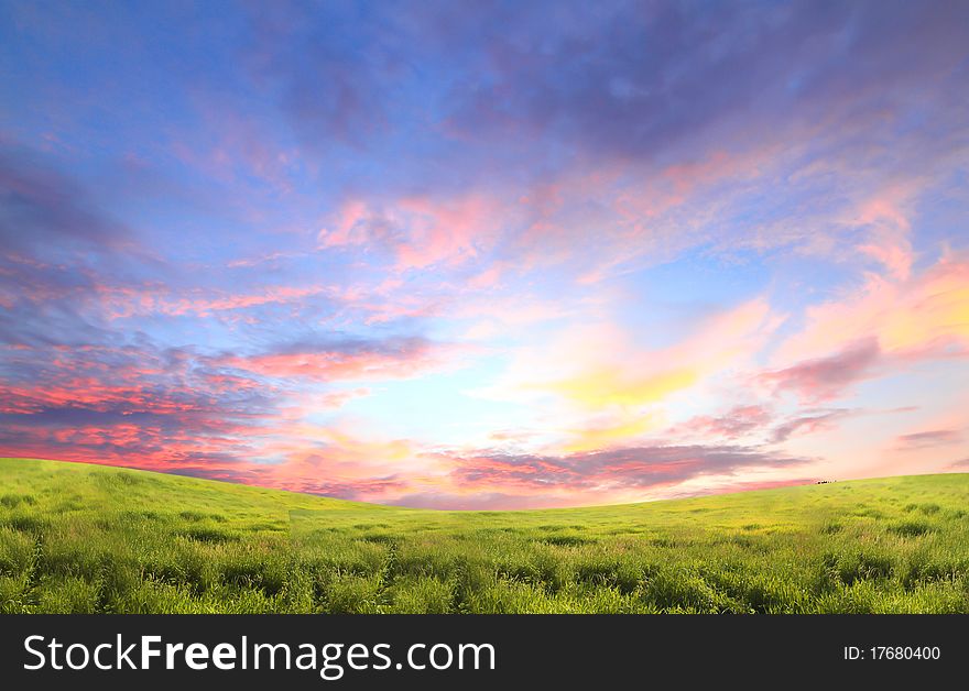 Spring green field and beautiful sunset. Rural landscape. Spring green field and beautiful sunset. Rural landscape