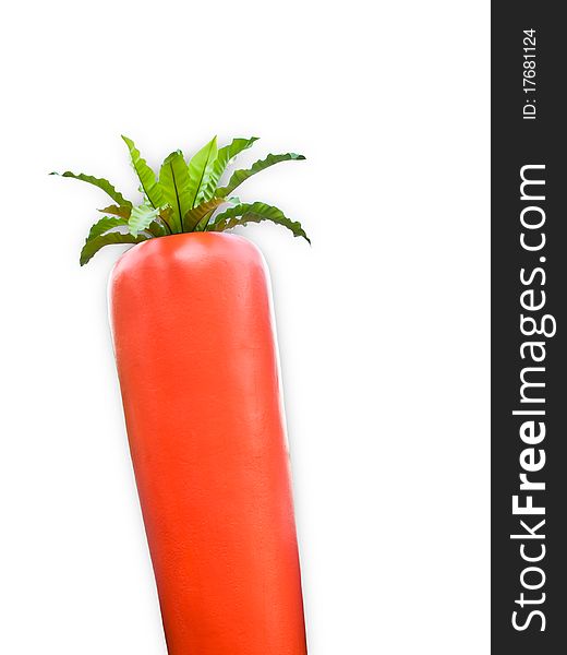 Big carrot isolated on white background