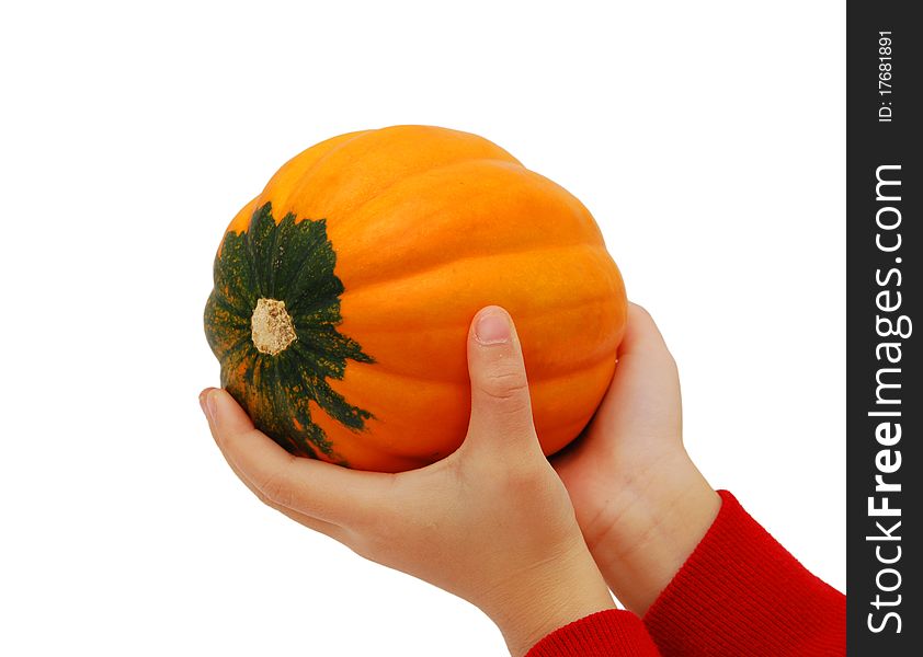 Pumpkin orange food nature background