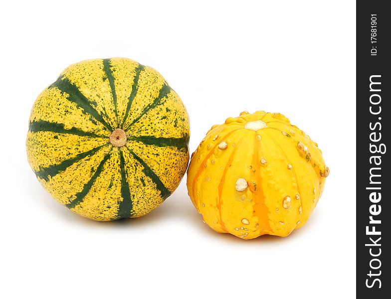 Mini Pumpkins Isolated on a White Background. Mini Pumpkins Isolated on a White Background