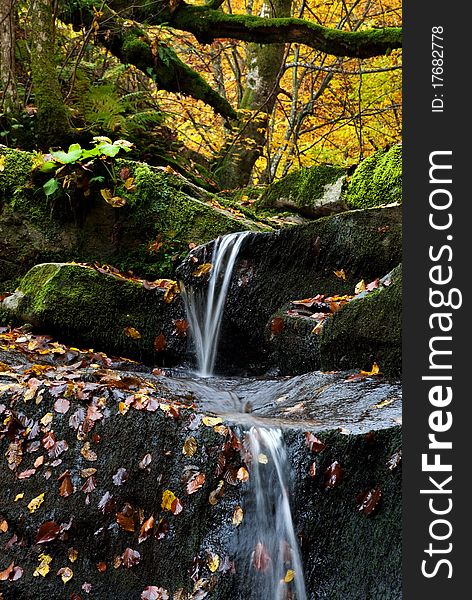 Leaves, water, stone, rock end river. Leaves, water, stone, rock end river