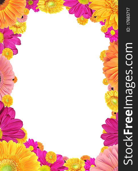Frame of colorful flowers isolated on white background. Frame of colorful flowers isolated on white background.