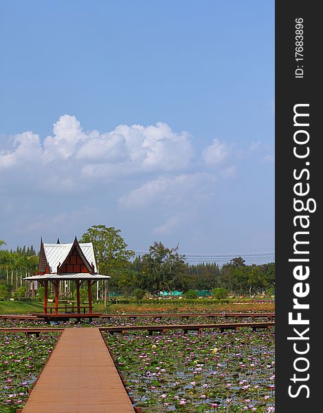 Lotus pool in fort at the resort