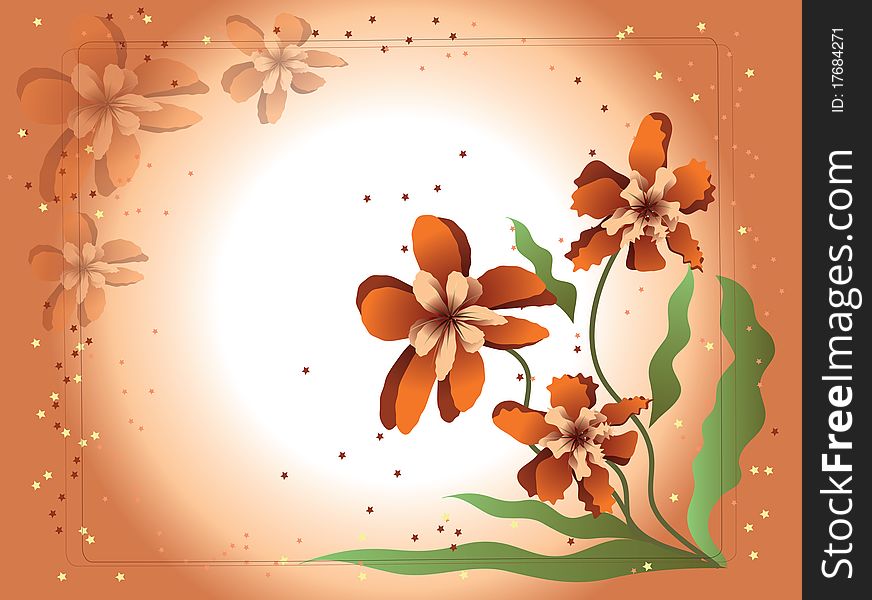 Flower orchid ,orange background frame