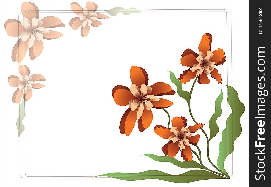 Flower orchid ,isolated background frame