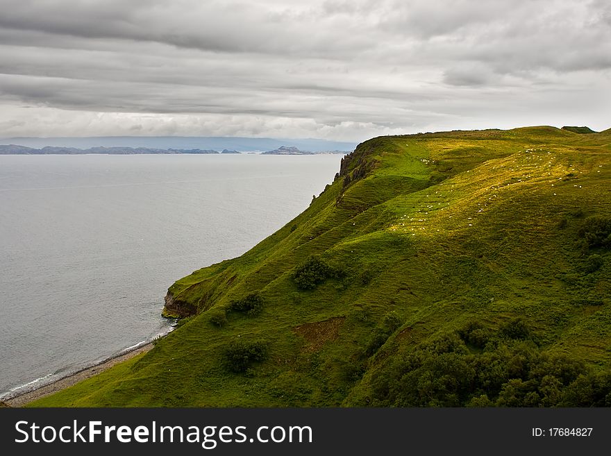 Isle of Skye, Scotlad - coast with many sheep on hills