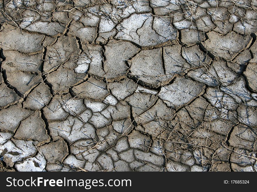 Texture of dried cracked surface layer of the earth. Texture of dried cracked surface layer of the earth