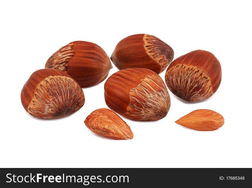 Hazel-nuts on the isolated white background