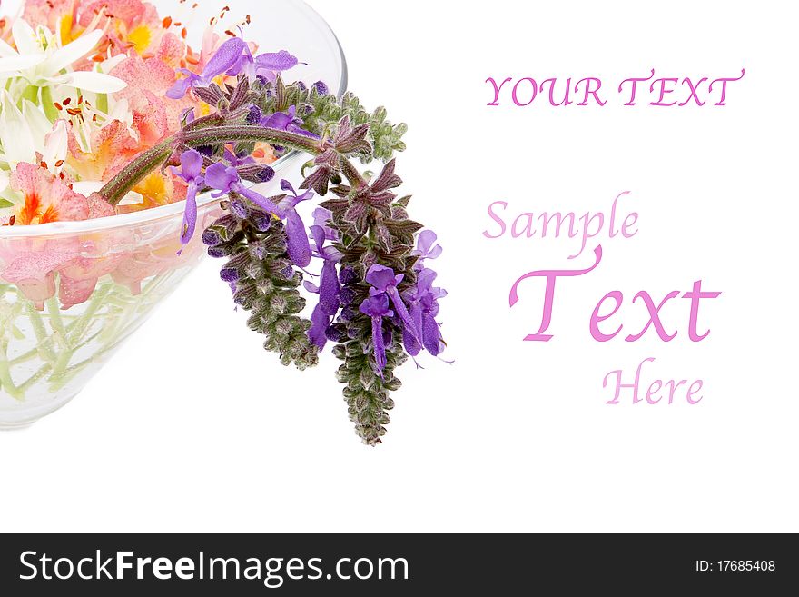 Wild flowers in a glass vase for congratulations