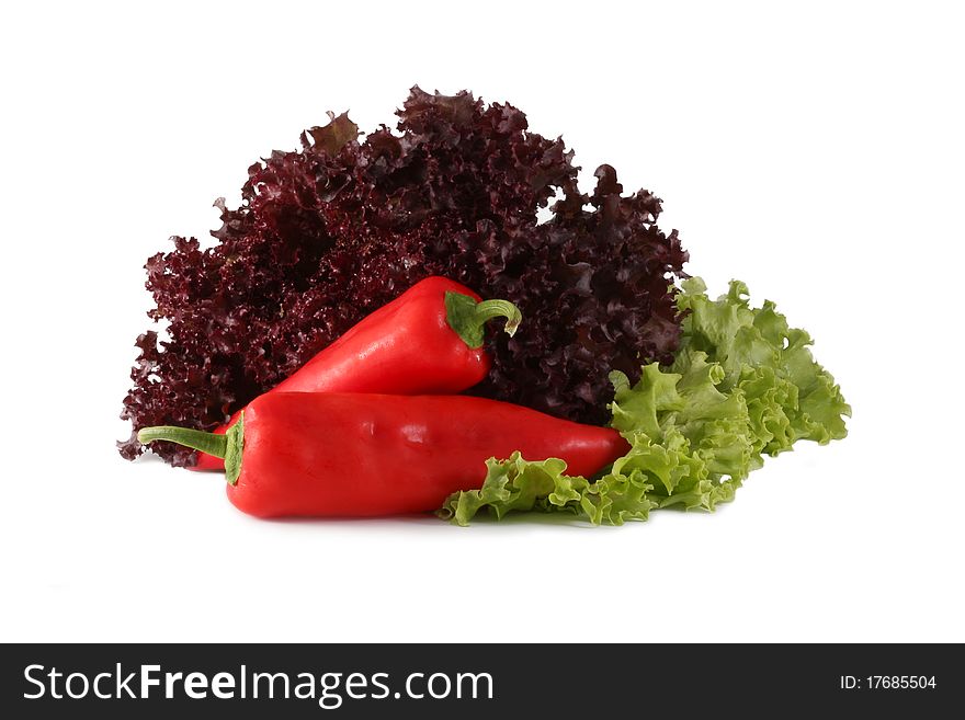 Bulgarian red pepper leaves of green and burgundy lettuce isolated on white background