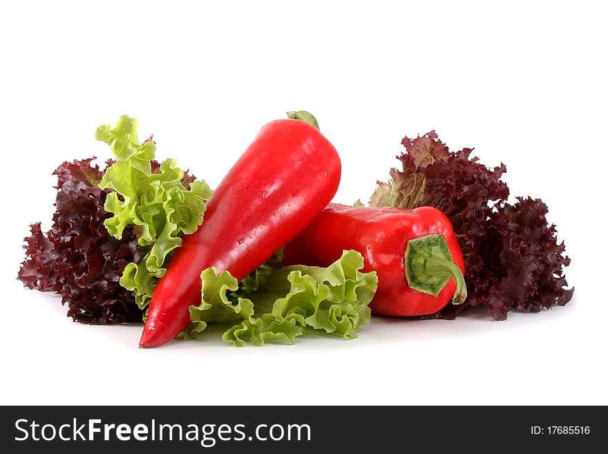 Bulgarian red pepper leaves of green and burgundy lettuce isolated on white background