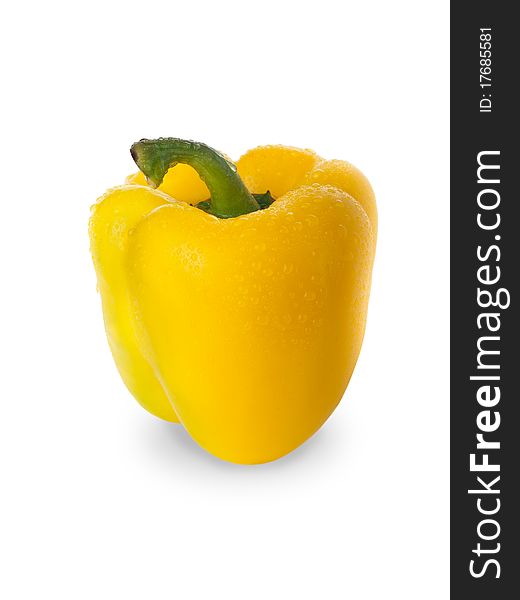 Yellow Pepper