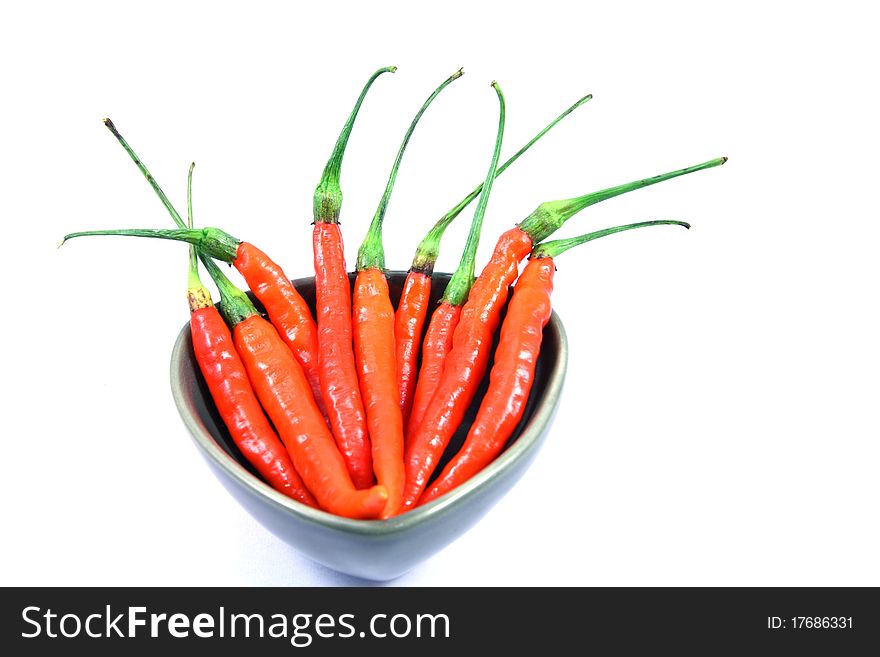 Red pepperoni on white background. Red pepperoni on white background