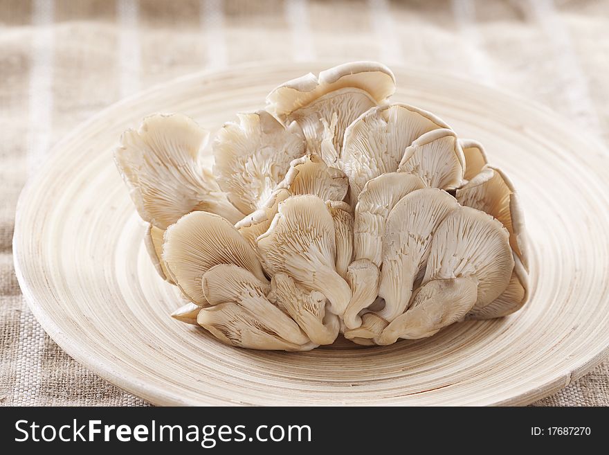 Fresh oyster mushrooms on wooden background