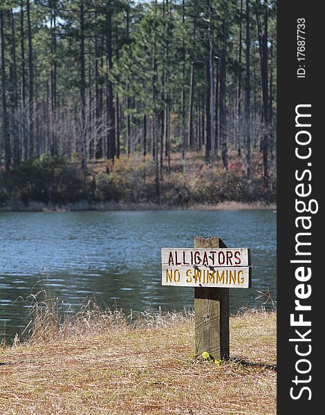 Alligators No Swimming sign at Hurricane Lake in Black River State Forest, FL. Alligators No Swimming sign at Hurricane Lake in Black River State Forest, FL