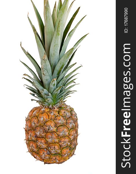 Pineapple