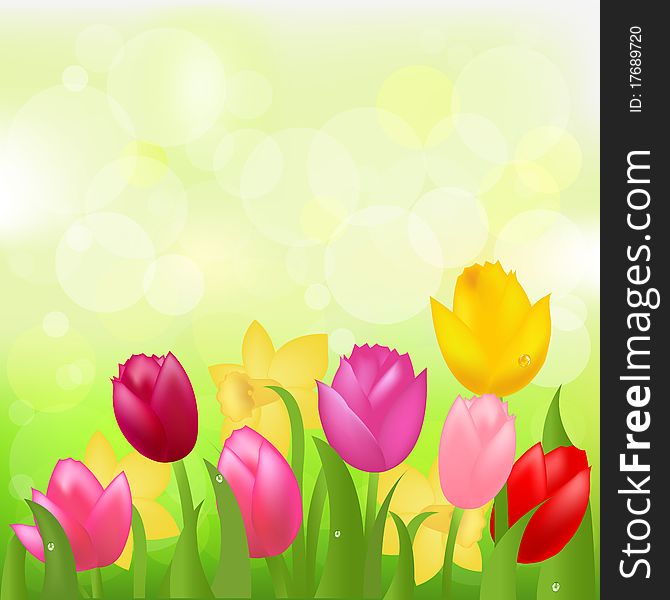 Colored Tulips. Vector