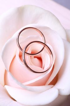 Wedding Rings Stock Photos Wedding Rings Stock Photos