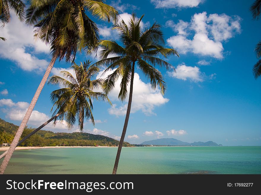 Palms, clouds and sea on a tropical island