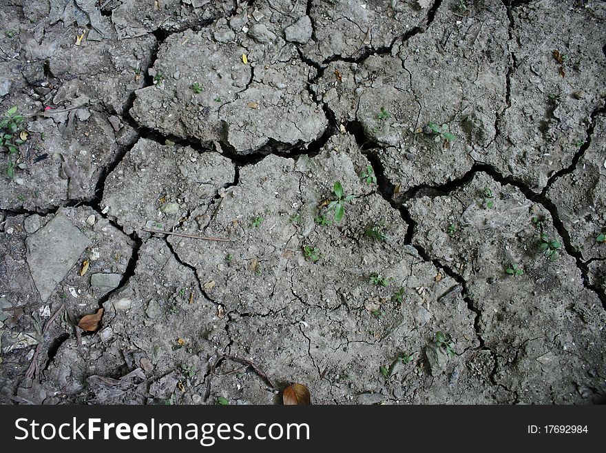 An image of dry soil background