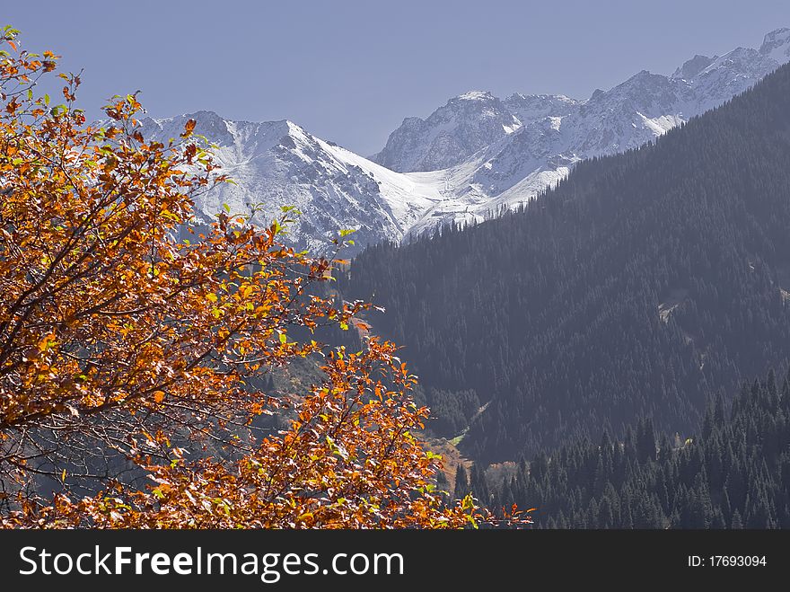 Early autumn in the mountain. Early autumn in the mountain