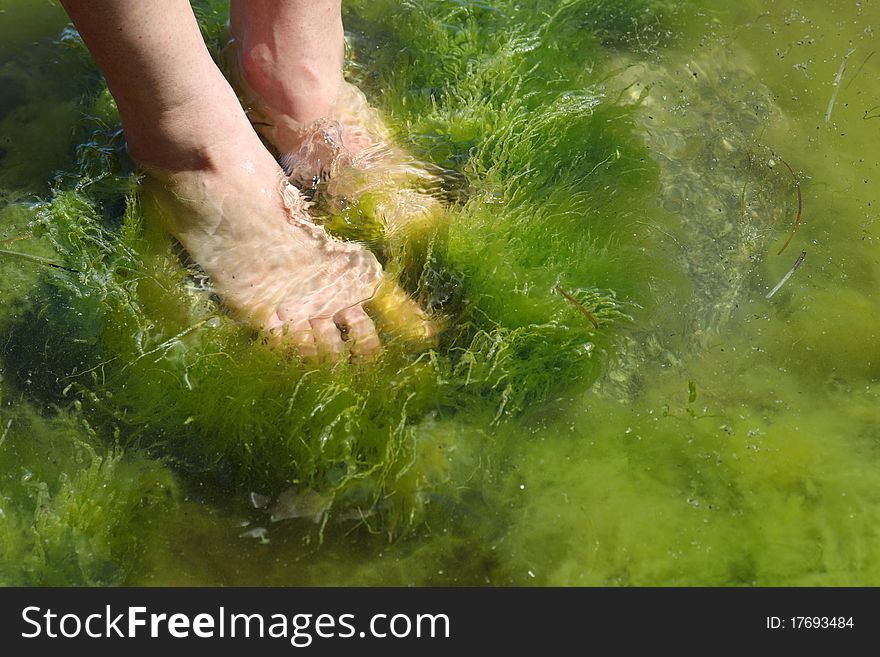 Human foot in the seaweed