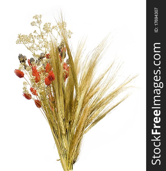 Composition from flower and ears of wheat