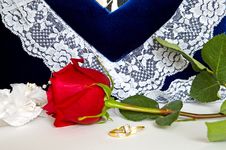 Wedding Rings And Roses-4 Stock Images Wedding Rings And Roses-4 Stock Images