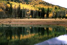 Fall Color Reflections, Arizona Royalty Free Stock Images Fall Color Reflections, Arizona Royalty Free Stock Images