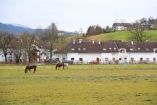 Village Field With Horses Royalty Free Stock Images Village Field With Horses Royalty Free Stock Images