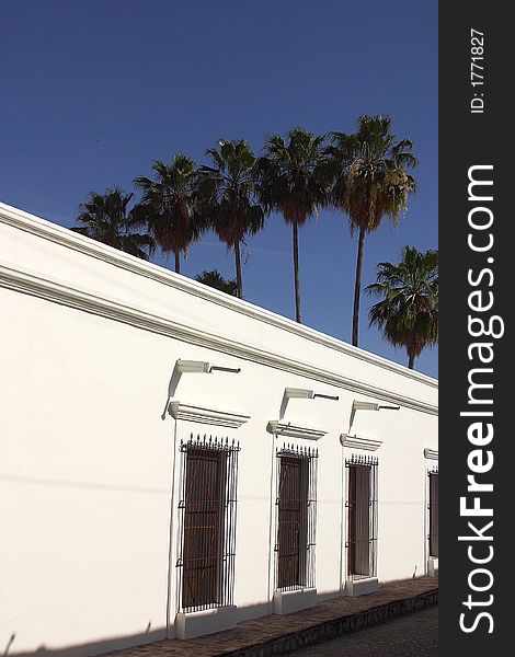 Partial view of a white wall with colonial windows and palms in the back in the town of Alamos in the northern state of Sonora, Mexico, Latin America