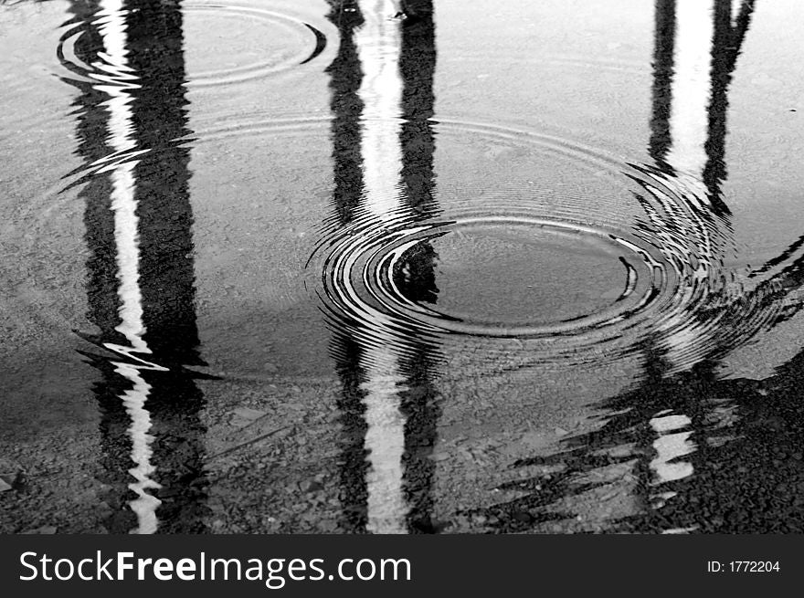 Black and white circles on water with many different reflections