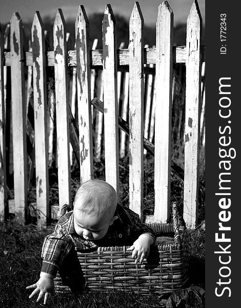 Image of baby boy sitting in a basket in front of a white picket fence. Image of baby boy sitting in a basket in front of a white picket fence