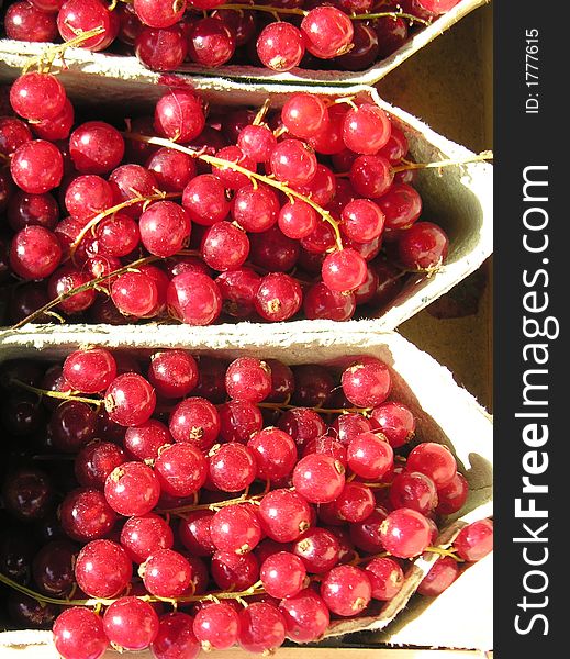 Bunches Of Organic Red Grapes In Containers At Market