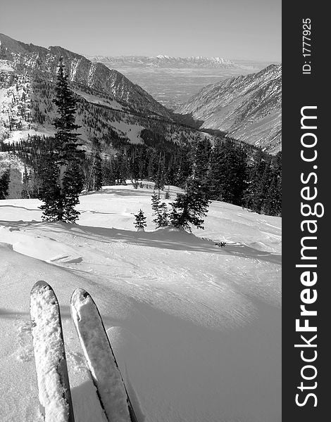 Skis, vista and fresh powder near snowbird ski and summer resort in the backcountry utah