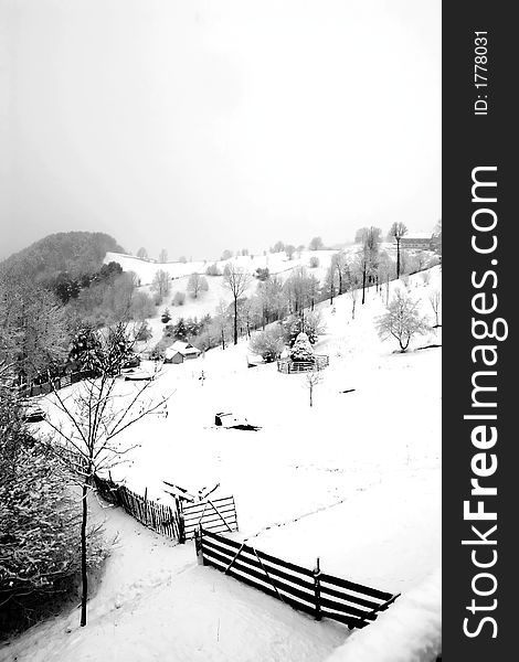 Black and white winter landscape. Black and white winter landscape